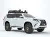 Snorkel GX460 'SV'